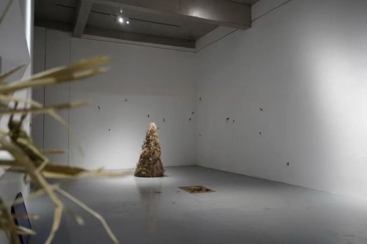 Fold By Time, past documentation 6