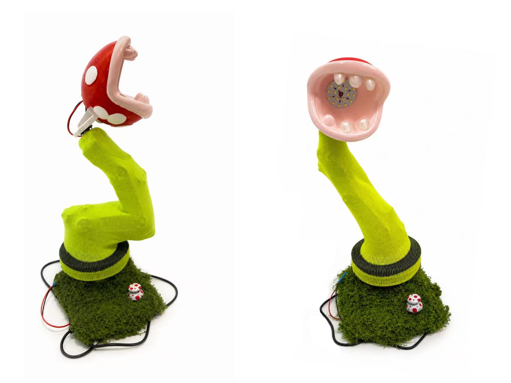 Carnivorous Plant, project view