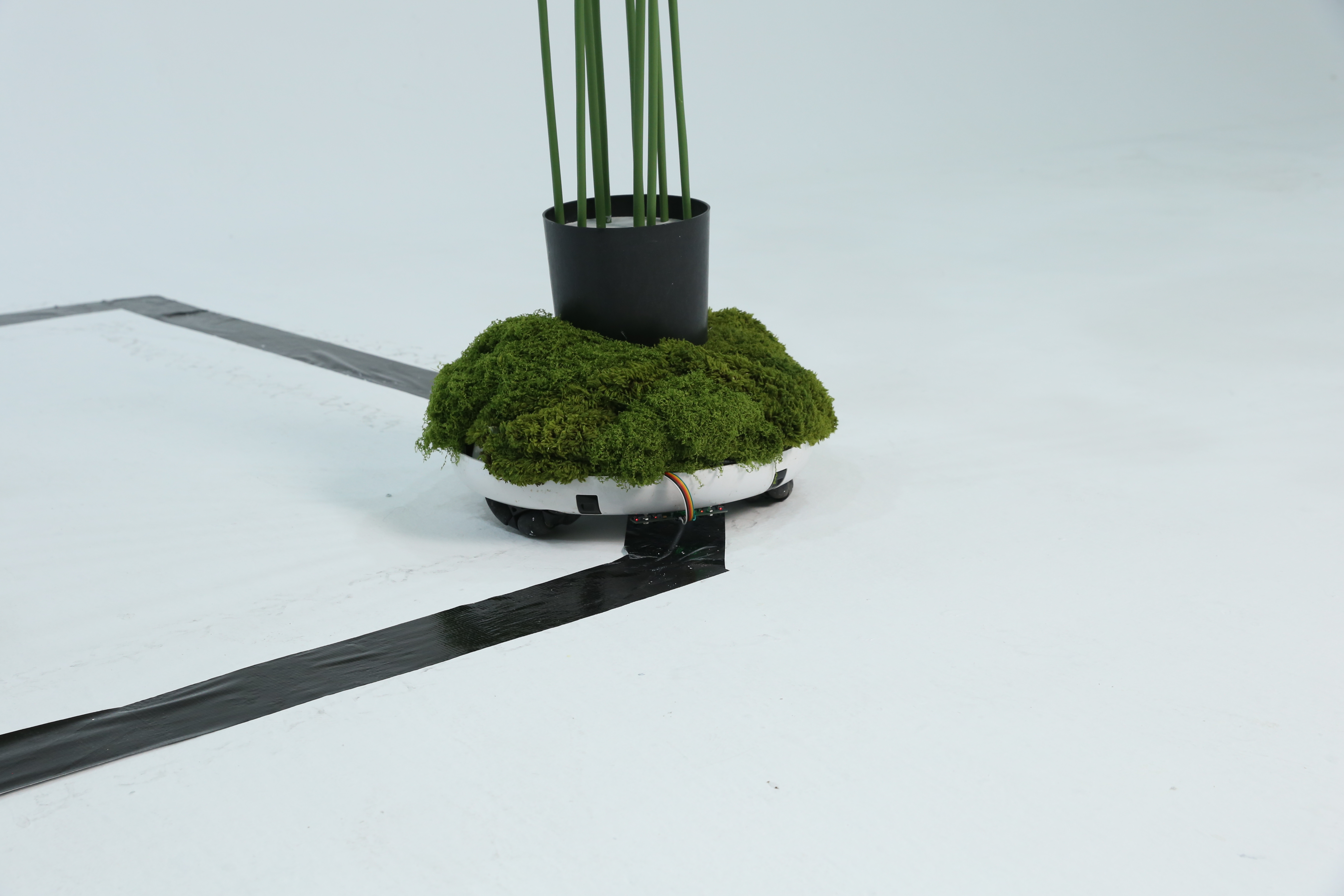 Talk, installation view